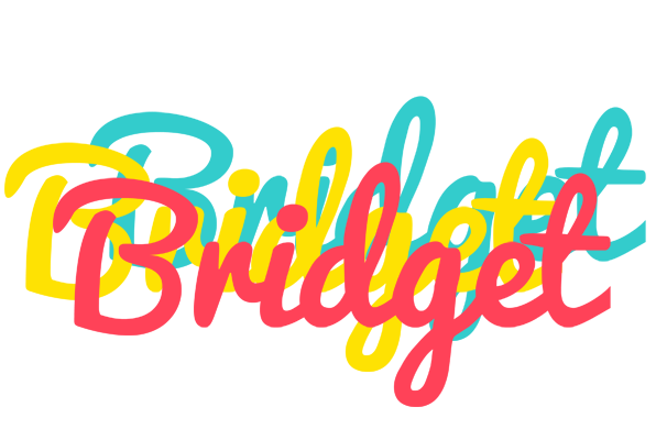 Bridget disco logo