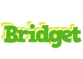 Bridget picnic logo