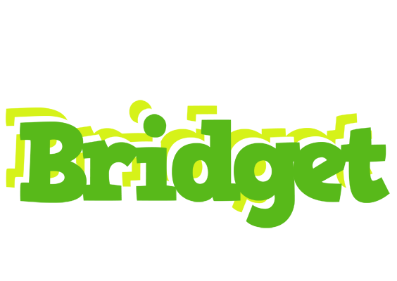 Bridget picnic logo