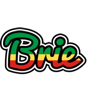 Brie african logo