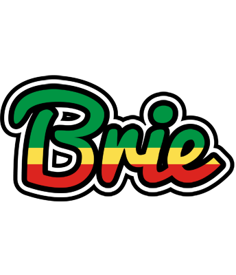 Brie african logo
