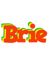 Brie bbq logo