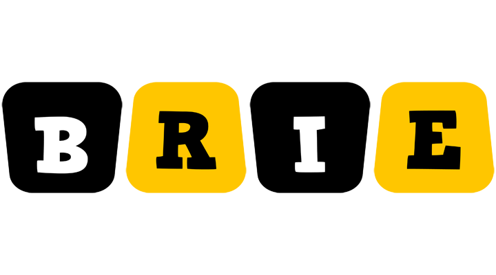 Brie boots logo