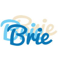 Brie breeze logo