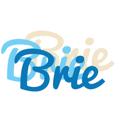 Brie breeze logo