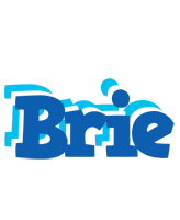 Brie business logo