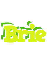 Brie citrus logo