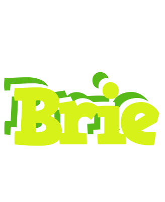 Brie citrus logo