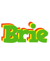 Brie crocodile logo