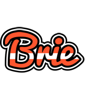 Brie denmark logo