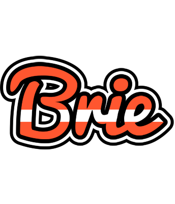 Brie denmark logo