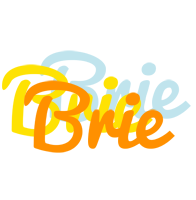 Brie energy logo