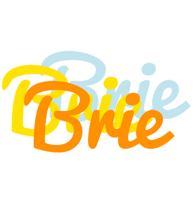 Brie energy logo