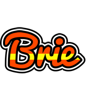 Brie madrid logo