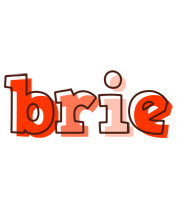 Brie paint logo