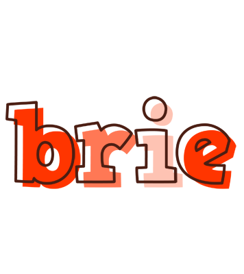 Brie paint logo