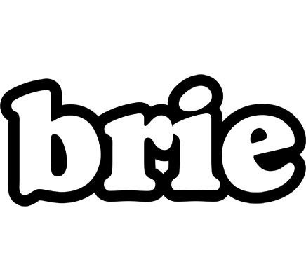 Brie panda logo