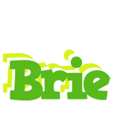 Brie picnic logo