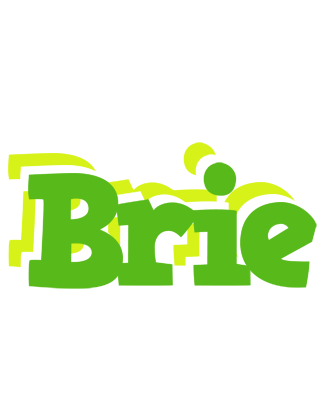 Brie picnic logo