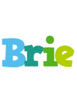 Brie rainbows logo