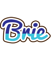 Brie raining logo