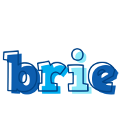 Brie sailor logo