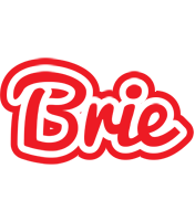 Brie sunshine logo