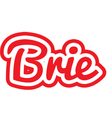 Brie sunshine logo