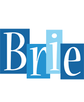 Brie winter logo