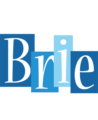 Brie winter logo
