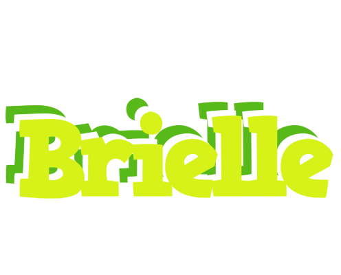 Brielle citrus logo