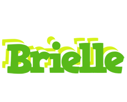 Brielle picnic logo
