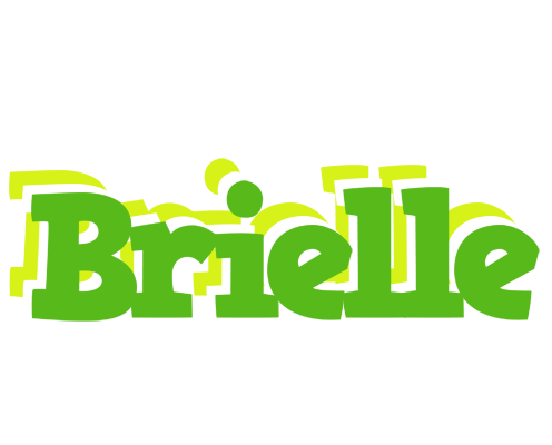Brielle picnic logo