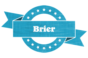 Brier balance logo