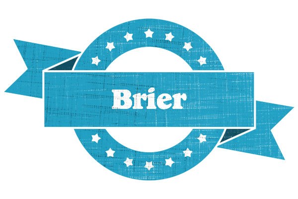 Brier balance logo