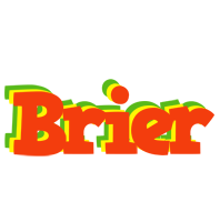 Brier bbq logo