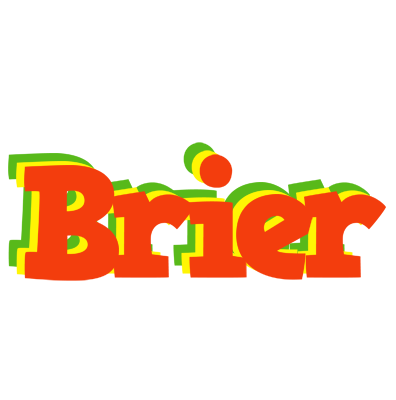 Brier bbq logo