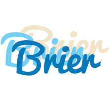 Brier breeze logo