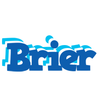 Brier business logo
