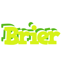 Brier citrus logo