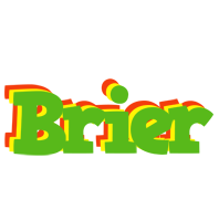 Brier crocodile logo