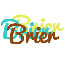 Brier cupcake logo