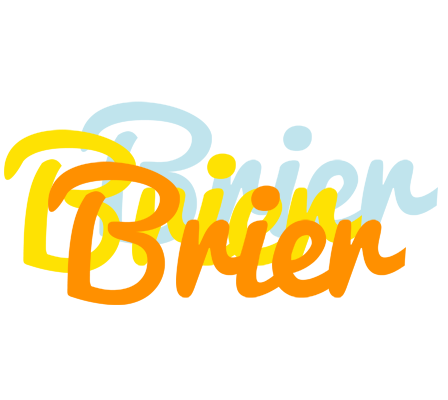 Brier energy logo
