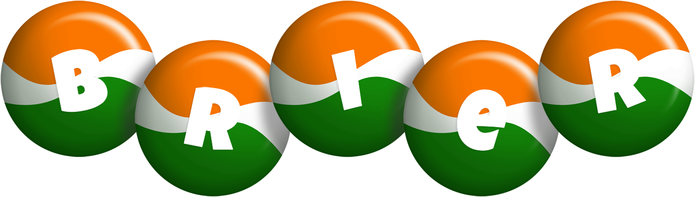Brier india logo