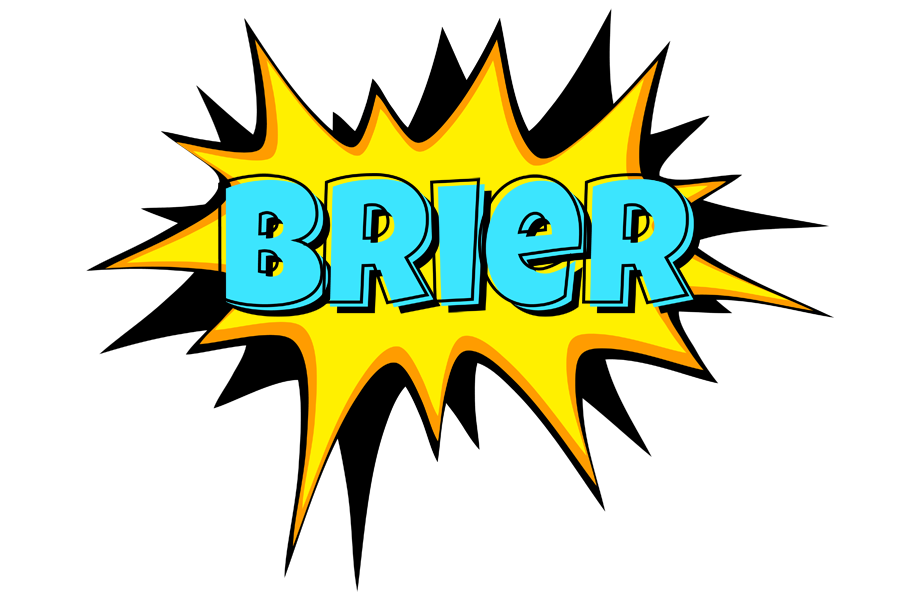 Brier indycar logo