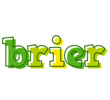 Brier juice logo