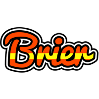 Brier madrid logo