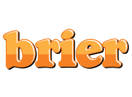 Brier orange logo