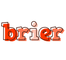 Brier paint logo