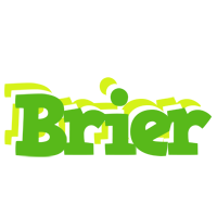 Brier picnic logo